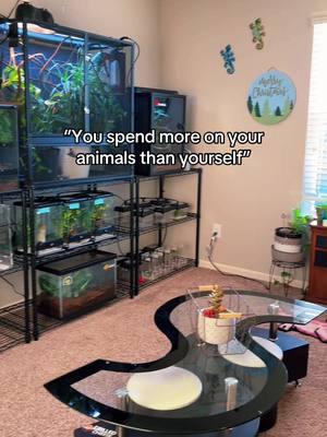 #reptileroom #reptilesoftiktok #reptilekeeper #reptilemom #animals #pets #PetsOfTikTok #petlover #petlife #reptilecommunity #lizards #lizardroom #lizardkeeper #lizardmom #animalsoftiktok #animalroom #exoticpets #geckoroom #geckokeeper #geckomom #fyp 