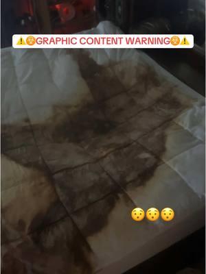 ⚠️☣️ GRAPHIC CONTENT ACCOUNT WARNING ☣️⚠️ ☣️this is a biohazard crime scene cleanup account ☣️this is for educational purposes ☣️this is reality and everything you see is real ☣️I don’t know how else to warn them TikTok🤷🏻‍♂️ ‼️CHECK THE LINK IN OUR BIO‼️ - link titled “call for biohazard & hoarding cleanups only” is exactly what it says it is!  If you, a loved one, or someone you may know, may be in need of the help you see that we provide, please give that number a call!  Whether it be #biohazard or #hoarding  #thesoulmediators would be proud to help ❤️ Pretty wild #decomp we took care of in #florida  God bless you all 🙏🏻✝️ #thesoulmediators #tommythecleaner #fypシ #crimescenecleaner #crimescenecleaning #crimescenecleanup #biohazardcleaner #biohazardcleaning #biohazardcleanup #graphiccontentwarning #fypシ゚viral #fyp #myjob #mylife #jesuslovesyou 