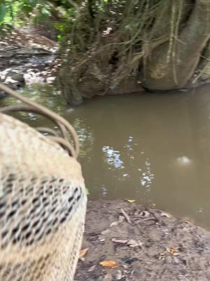 Pesca en el desierto #fishing #angler #fishinglife #fish #mar #anglercontent #fishman #fishingbait #anglerfish #ocean 