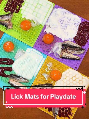 Lick mats for my dogs playdate 👅🐶🥛🧩 @Lifeway Kefir #dog #rawfeddog #dogfood #dogs #rawfeeding #dogtreats #kibble #fyp #rawdogfood #dogrecipes #dogsoftiktok #l #dogmom #lifewaypartner #dogfoodrecipe 