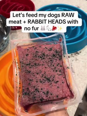 Let’s feed my dogs RAW meat + RABBIT heads with no fur 🐰🐇🥩✨ #dogfood #rawfeddog #asmr #asmrsounds #australianshepherd #dogsoftiktok #