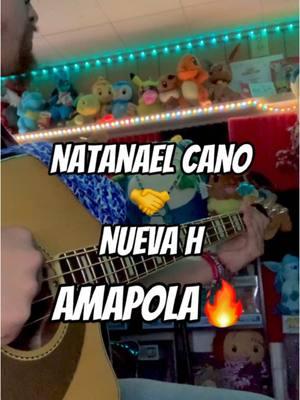 Hope you guys enjoy this cover, ill be dropping a tutorial on #rosones tomorrow🖤🫶🏼 #amapola #natanaelcano #nuevah #regionalmexicano #corridostumbados #young_synical #bajoloche #mexicantiktok #chicago #parati #ranchohumilde #viral #bass #fender #fypシ #corridos #belico #tololoche 