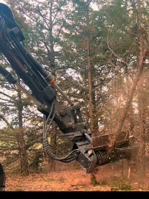 Shearex vm60sr on a converted timberking tk721 feller buncher. Tilt is extremely handy on this machine #excavatormulcher #mulcher #shearex #timberking #caterpillar #cat #cedar