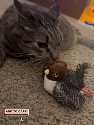 Endless hours of fun 🐥 Bobcat & boykin approved 💁🏼‍♀️ #tiktok #TikTokShop #cattoy #catgift #doggift #toy #fun #shop #christmasgift #giftidea #pet #petgifts #fyp 