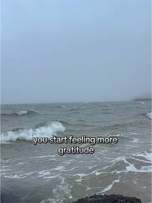 Practice Feeling positive emotions! <3  #positivevibes #positivemindset #emotions #emotions_feelings #feelingsss #gratitudepractice #gratitudechallenge #gratitudejournal🖋️ #gratitudemindset #autonomousnervoussystem  #joedospenza #joedispenza #joedispenzaformula #joedispenzameditation #joedispenzaquote #joedispenzaworkshop 