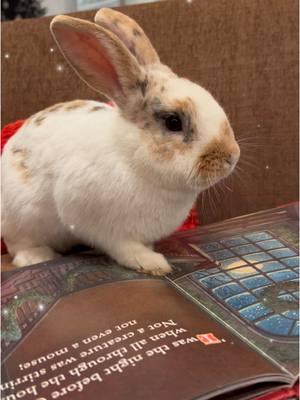 🌨️❄️ Even though the weather might be all dreary and chilly, our barn is a warm and cozy little slice of holiday magic! 🎄✨ Come snuggle up with us this season and visit Santa and his adorable elves in our comfy party room!  And guess what? Popcorn the bunny loves to snuggle up with you while you’re here! 🐰💖 Whether you want to sparkle in your festive best or unwind in your coziest jammies, we can’t wait to share the joy of the season with you! 🤗✨  Let’s make sweet memories together, filled with giggles, cuddles, and a few furry friends from our petting zoo! 🐾🎅  ✨ Reserve your spot before it's gone:  One ticket for the whole family! 🎅Santa Luke  https://www.eventbrite.com/e/1013226376367?aff=oddtdtcreator 🎅Santa Frank https://buytickets.at/partyatthebarn/1411501 🌟✨ Visit our website to discover more magic of the farm  www.partyatthebarn.farm  💕✨ Follow us on Facebook for all the enchanting updates and details. https://www.facebook.com/partyatthebarn/ #MagicalParty #HolidayWonders #PettingZooMagic #SantaVisit #PonyRides #FairyTaleCelebration 🌟🌟🌟#partyatthebarnsanta #partyatthebarn  #CozyBarnVibes #JammieJoy #PopcornTheBunny #SantaAndElves #bunny #WinterWonderland #HolidaySnuggles