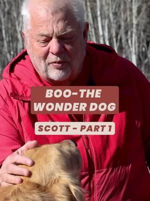 Golden retriever or golden hero? Boo is more than just a pretty face—this super skilled search and rescue dog trained extensively for 6 months before becoming a certified SAR dog with his 70-year old handler, Scott Hammond. Fun fact: Boo has a nose 400x stronger than ours 🤯 #americans #fyp #fypシ #fypage #fypシ゚viral #viral #viralvideo #viralvideos #lifestory #realpeople #helloage #interviews #dogs #pets #searchandrescue #SAR #saltlakecity #utah