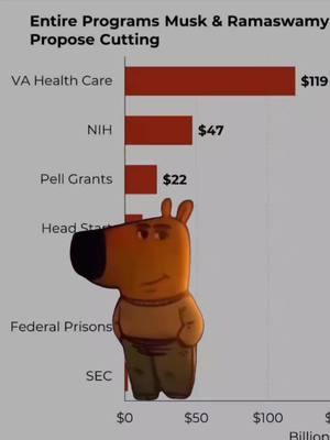 That's a pretty wild cut to the VA budget... hope this doesn't go thru. #vahealthcare #veteransaffairs #budget 