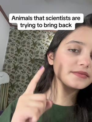 Animals that scientists are trying to being back #foryou #foryoupage #fypシ゚viral #animals #extinct #sabertoothtiger #megalodon #woollymammoth #scientists #titanoboa #dodobird #us #usa🇺🇸 