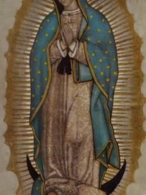 The miraculous tilma of our Lady of Guadalupe! Today you can visit this beautiful tilma in the Basilica of our Lady of Guadalupe in Mexico City.  #Miracle #Catholic #Catholicism #VirginMary #OurLadyOfGuadalupe #JuanDiego #Tilma #Jesus #JesusChrist #Mexico #MexicoCity  