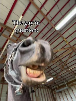 Had to remake this one 💀 #CapCut #equestrian #coltstarting #funnyhorse #horse #horses #horsememe #equestrianmemes #Relationship #relatable #western #AQHA #mustang #barrelhorse #reininghorses #blueroan #blueroanhorse #quarterhorse #punchy 