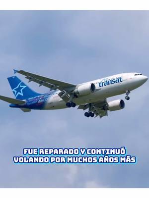 Airbus A310 falla a 35 mil pies sobre el mar caribe - vuelo 961 de air transat #reels #viraltiktok #accidente #piloto #aviacion #creditomauriciopc #catastrofesaereas 