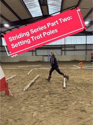 Trot Poles! #horses #horsesoftiktok #horsegames #equestrian #equestrianlife #equestrianlife #horsegirls #equestrianeducation @katiemar14 