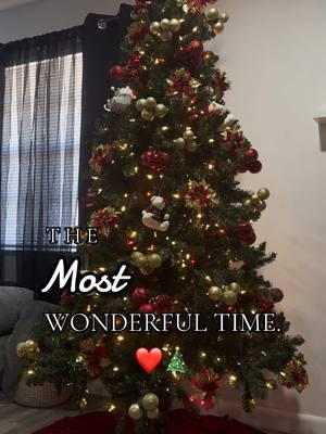 La mejor temporada del año🥰🎄❤️!!! #navidad #itstime #wonderfultime #añonuevo #arboldenavidad #findeaño #usa🇺🇸 #fypシ #christmas #paratiiiiiiiiiiiiiiiiiiiiiiiiiiiiiii #✨ 