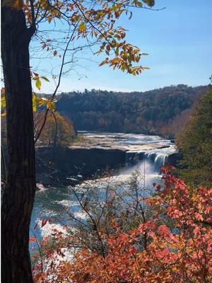 Cumberland Falls State Park, Kentucky 🥾💚 #Waterfall #waterfalls #naturescenery #nature #scenic #views #hike #hikers #kentucky #fall #Hiking #eaglefallstrail #mountain #mountainview #waterfallhike #waterfallsoftiktok #chasingwaterfalls #beauty #peaceful #naturelove #creatorsearchinsights 