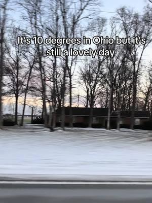 Lovely day #fyp #foryoupage #lovelyday #billwithers #ohiowinter #winter #10degrees #ifyouknowyouknow #iykyk #relatable #ohio #ohiocheck #ohioan 