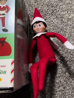 There arw so many cute things in this box #GiftGuide #HolidayHaul #TikTokShop #christmas #elfkit #elfontheshelf 