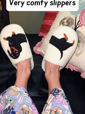 they’re soooo comfortable #houseshoes #dachshund #dachsundsoftiktok #dachsundlife #TikTokShop 