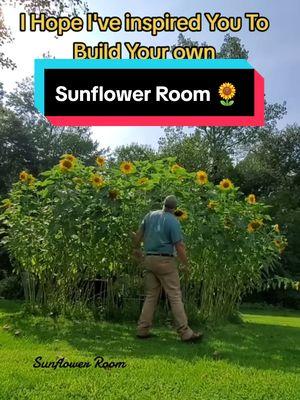 Follow and Save to see how to Successfully Grow a Sunflower Room 🌻  #sunflowerroom #sunflower #sunflowers #sunflowergarden #flowers #successful #5millionviews #garden #gardentip #gardenidea #doityourself #farmersteve727 