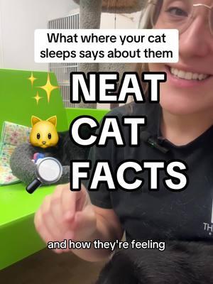 Where does your cat like to sleep? Do you notice a change in their sleep behavior? 🤔 #neatcatfacts #sleepbehavior #cats #catbehavior #catfacts #interestingfacts #catsoftiktok #sleepingcat #catsleep 