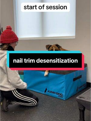 this is nail trim desensitization. the goal is not to get them good with nail trims in one session, especially with a dog who has a previous history with nail trims being bad. the goal is to make small steps toward the big goal #dogtrainer #DogTraining #dogsoftiktok #dogcommunity #balancedtraining #rescuedog #dognailtrim 