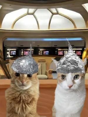 Finny and Dazie meet aliens aboard a spaceship. #catseyewitnessnews #alien #spaceship #drones #extraterrestrial #fyp 