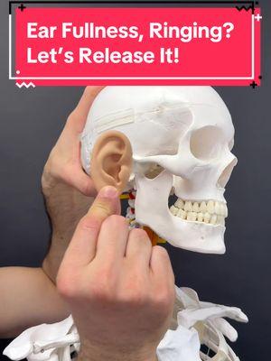 Click the link in my bio for my signature process to fix Ear or Jaw symptoms! Do you experience fullness in the ear? Maybe it feels like it’s clogged or even hurts sometimes but the ENT says nothing’s wrong with it?  Well, the jaw and neck are also culprits of ear issues. The deep neck flexor, also known as as longus colli has been shown to produce ear fullness. This muscle specifically acts on the positioning of the neck which can dictate jaw positioning. And the jaw, butts right up against the ear, making it one big loop. In this video, I demonstrate a simple release you can do to get relief now.  Keep in mind that eustation tube problems or TMJ problems can also feel like an earache, further making it necessary to rule out or in the muscle muscles of the jaw.  Another very important part of the process is seeing an ENT or audiologist to rule out actual ear dysfunction. #earache #tmj #jawpain #tmd #ent #dentist #massagetherapy #tinnitus #hearing 