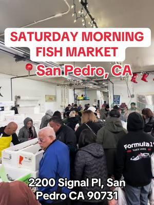 Such a cool experience!🐟🐠 #southbay #southbayla #southbayca #redondo #redondobeach #redondobeachpier #torrance #torranceca #torrancecalifornia #sanpedro #sanpedroca #sanpedrocalifornia #sanpedrocalifornia🍤🍺 #saturdaymorningfishmarket #longbeach #longbeachcalifornia #longbeachca #fishmarket #fish #palosverdes #palosverdesestates #palosverdescalifornia #ranchopalosverdes 