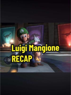 Luigi Mangione Recap #uhc #unitedhealthcare #insuranceclaim #deny #luigimangione #innocentuntilprovenguilty #followme