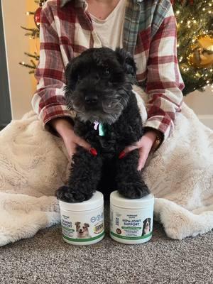 At Nutricost, we’ve got presents for every member of your family. 🐶 Grab any of our pet supplements by clicking the link in our bio! Warning, quantities are limited to run don’t W.A.L.K #pet #PetsOfTikTok #pets #dogsofttiktok #dogsupplements #christmasdog #giftsfordogs #giftsforpetlover