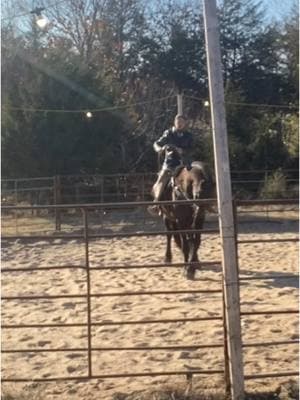 The jump scares between clips has me in stitches and i dont know how to fix it so enjoy, that. 😂😂😂.  Anyway this is a #tedtalk #horsetraining#trust#stayhooked #understandtheassignment #partnershipwiththehorse #horsetrainingtips #confidence #bucking#bolting #spookinghorse