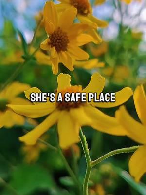 Safe Place. #safeplace #safe #turntoher #counton #countonme #quotes #dependable #dailymotivation #fypシ 