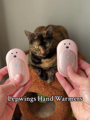 Cute stocking stuffer for dog lovers! #handwarmers #giftideas #stockingstuffers #holidayhaul #cutecat #catmom #torti #remi #lepwingsdirect 