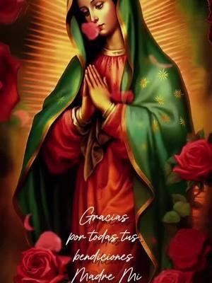 Madre Mia Te Amo Contodo Mi Corazon 🥹🥰♥️🥲#fyp#parati#foryou#12diciembre🇲🇽🙏🎺#viergendeguadalupe#mexico🇲🇽#teamo#bendiciones🌹❤️🙌🏻🙌🏻🙏#madremia#cumpleaños#fy#fyyyyyyyyyyyyyyyy#fypage#fyppppppppppppppppppppppp#fypviraltiktok🖤シ゚☆♡#foryourpage#paratupage#paratupagina#paratiiiiiiiiiiiiiiiiiiiiiiiiiiiiiii#soloparati#fyviral#fypシ #masquebendecida💖🙌 #fypシ゚viral#fabis#fabiolaluna92 