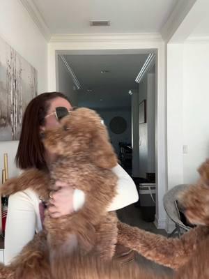 Esto es lo ultimo se activo el terremoto 😱😱😱😱@YELANY #dog #dogsoftiktok #doglover #doglove #dogmom #outfit #outfitideas #outfitinspo #mom#momlife #momfit#over40#kiara#kamora#goldendoodle #terremotoactivado#indisciplinada #terrible#outfitinspiration 