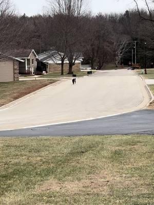 Otis is out and running to visit me . haven’t seen him for a while. He looks like he’s doing a little better.##funnydogs##loveourfollowers##funnydogsoftiktok##dexterandotis##otis##wisconsinlife##petlover##funnydogsvideo##nephew##boydogs##neighbors##dogwinterclothes##family