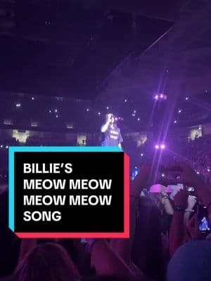 Starting singing the meow song at her concert😂  #sj #sap #billieeilish #billie #eilish #eilishclips #Love #fun #gotthisforyou #work #concerts #fitted #baggyjeans #style #fyp #fypシ゚viral #viralvideo #viraltiktok #vibes #latenight #LearnOnTikTok #paratii #dance #duet #cat #song #meow #meowdance 