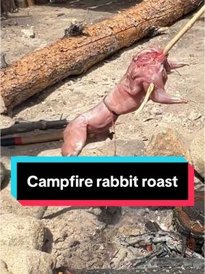 Cooking rabbit over a smoky campfire is one of the most delicious and easy ways to do it! Save this video and try it next summer! #rabbit #campfire #outdoorskills