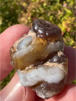 Chalcedony from Arizona has so much going on to explore!  This might be from Saddle Mountain where fire agate can be found. #chalcedony #agate #crystals #rocks #stone #geologyrocks #iloverocks #rocksarecool #fireagate #fyp