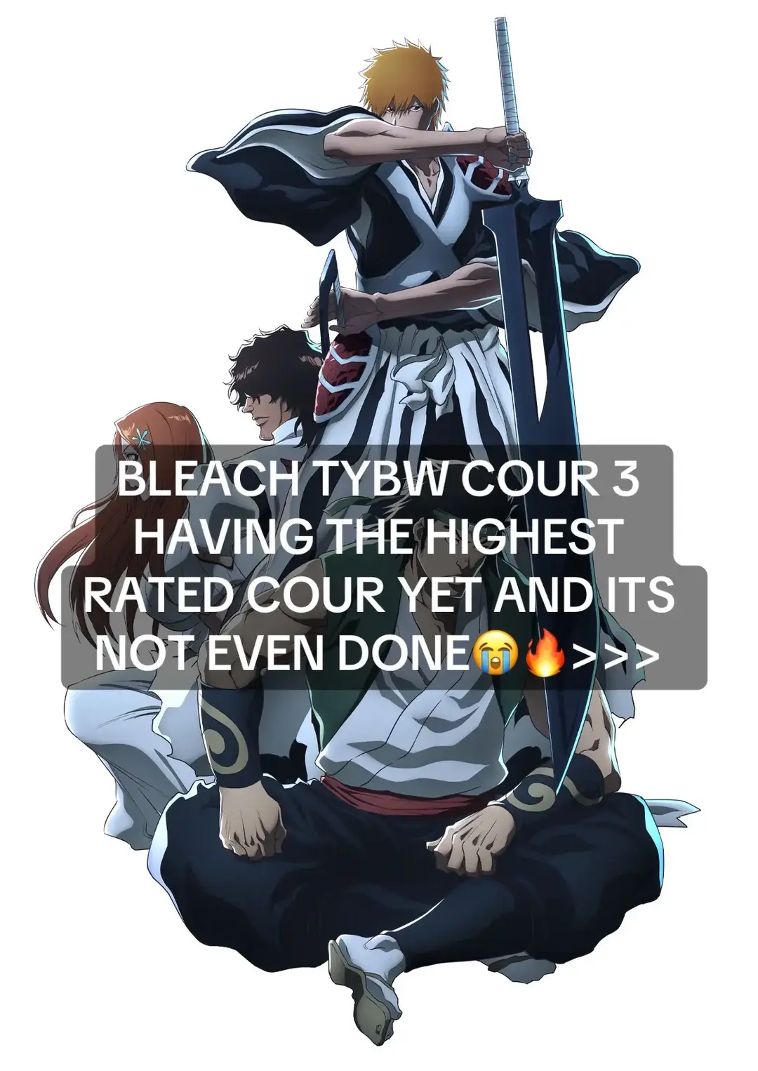 #fyp #foryoupage #fypシ #bleach #ichigo #aizen #yhwach #shunsui #mayuri #nemu #uryu #orihime #rukia #renji #animes #animefyp #bleachanime #bleachtybw 