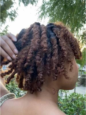 just wanted to see more starter locs on my fyp, this phase is beautiful with its ups and downs. im almost 4 months now!!! i wanna see more starter locs yall dont be shy now!! stop hiding because ya look GOODT. #earthyblackgirl #starterlocs #locstylesforwomen #fyp #foryou #naturalhair #freeformlocs #locsoftiktok 