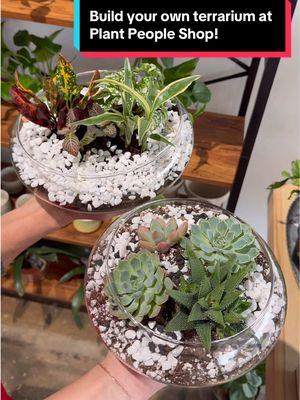 Add @plantpeopleshop to your #oklahomahotspots list!🛍️🌵🌱 📍: @midtownokc  🛍️Build your own terrarium & get 20% off glass! This was such a fun experience and a perfect activity to share with a loved one!🤩 Let us know your #oklahomahotspots that we should visit & tag us if you post going to any of the locations we recommend! Follow us for more OHS!🫶 DM US IF YOU WOULD LIKE US TO CHECK OUT YOUR OKLAHOMA BUSINESS!💌 🎥: @nikkiinspiredbeauty  #oklahoma #oklahomacity #oklahomaphotographer #oklahomaphotography #myoklahoma #madeinoklahoma #thisisoklahoma #oklahomalife #oklahomagrown #oklahomaexperiences #okcexperiences #shoplocal #shopoklahoma #newinok #newinoklahoma #okcfood #okcfoodie #eatokc #okcdining #okcpopups #familyfriendlyokc #okcpopups  #okcplantpeople #plantpeople #okcplants #okcplantshop #terrarium 