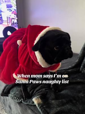 Is there still time to turn it around??  #pug #pugsoftiktok #blackpug #pugslife #pugpuppy #pugtok #dogsofttiktok #ocpug #fyp #pugs #puglife 