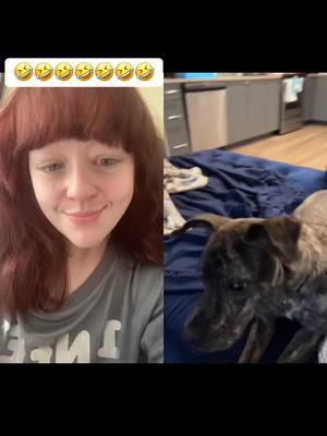 #duet with @fluffy_petbaby99 They understand more than we give them credit for! #fyp #dogsoftiktok #dogtalking #backtalk #hilarious #PetsOfTikTok #lol #laugh #petmom #furbaby 🤣🤣🤣🤣🤣🤣🤣🤣🤣🤣🤣🤣🤣🤣🤣🤣🤣🤣🤣🤣🤣