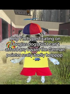 I NEEEEEEEEEED MORE #douglasdog #douglas #dogplushie #autism #brokeahh 