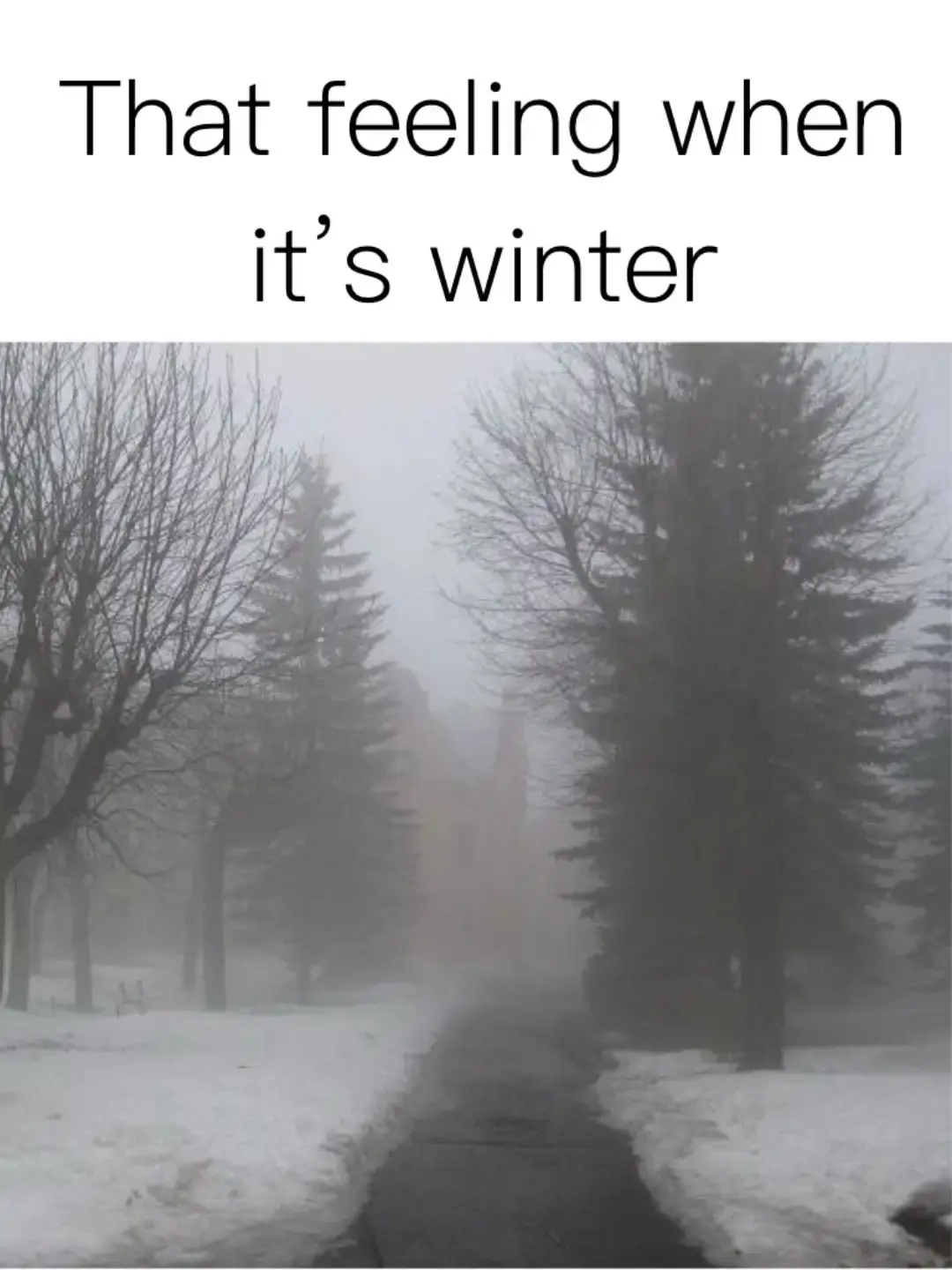 #fy #fyp #fypシ #winter #thatfeelingwhenwinter #winterishere #cold #_squ0 