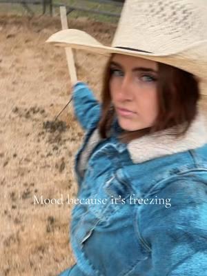 #fyp #coltstarter #horsetrainer #western #cowboy #cowgal #foryou 