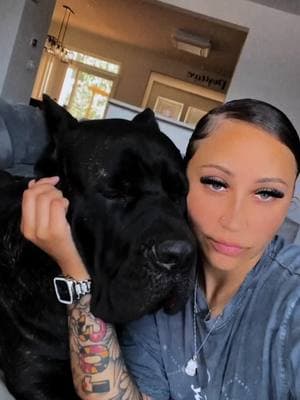 my sweet baby boy gets all my kisses 🥰 #fyp #canecorso #corsolove #canecorsomom #corsosoftiktok #ilove 