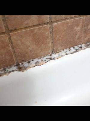 HOW TO REMOVE MOLDY OLD CAULK!  . . . . . #caulk #caulking #mold #caulkremover #caulktip #caulkinglikeapro #DIY #diyproject #homeimprovement #bathroom #kitchen #doityourself #fy #fyp #moldremoval 