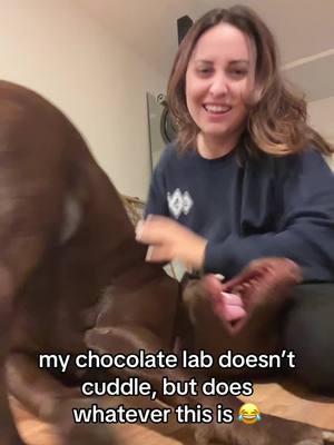 my chocolate lab doesn’t cuddle, but does whatever this is 😂  #chocolatelabrador #labrador #chocolatelab #labradorretriever #dogsoftiktok #labsoftiktok #chocolatelabsoftiktok #dog #labradorsoftiktok #labs #labradors #puppy #lab #labradorpuppy #chocolatelaboftheday #dogs #talesofalab #labradorable #labradorlove #labradoroftheday #labsoftiktok #chocolatelabs #worldoflabs #doglife #dogoftheday #laboftheday  